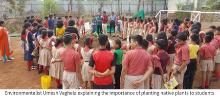 CM International school Pune World Environment Day NexSchools.com